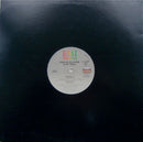 Foster Sylvers & Hy-Tech : Flavour (Special Extended Version) (12")