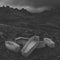 Atreyu : Long Live (CD, Album, Dig)