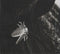 Atreyu : Long Live (CD, Album, Dig)