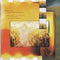 Shawn Colvin : A Few Small Repairs (CD, Album)