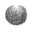 Envoys (2) : Bliss (CD, Album)