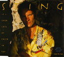 Sting : If I Ever Lose My Faith In You (CD, Single, CD1)