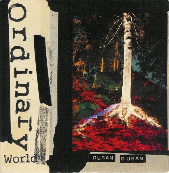 Duran Duran : Ordinary World (7", Single)