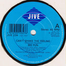 Big Fun : Can't Shake The Feeling (7", Single, Pap)