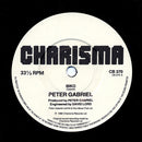 Peter Gabriel : Biko (7", Single)
