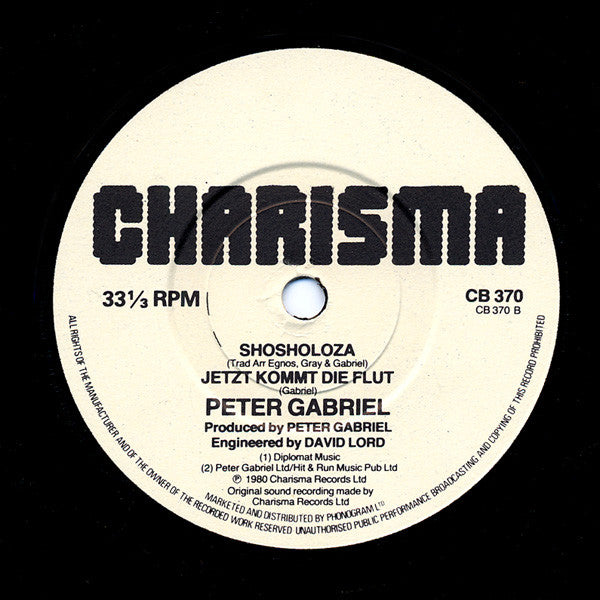 Peter Gabriel : Biko (7", Single)