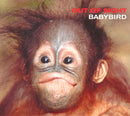 Babybird : Out Of Sight (CD, Single)