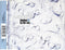The Seahorses : Blinded By The Sun (CD, Single)