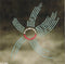 Scott Walker : Climate Of Hunter (CD, Album, RE)