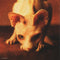Megadeth : Risk (CD, Album, RE, RM, Rem)
