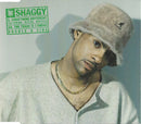 Shaggy : Something Different / The Train Is Coming (CD, Single)