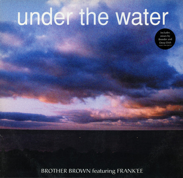 Brother Brown Featuring Frank'ee : Under The Water (12")