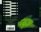 G//Z/R : Plastic Planet (CD, Album)