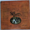 Steve Goodman : Somebody Else's Troubles (LP, Album, RP)