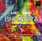 Various : East 2 West - Bhangra For The Masses (CD, Comp)
