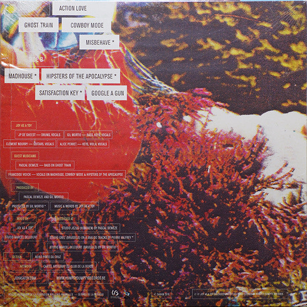 Joy As A Toy : Mourning Mountains (LP, Ltd)