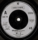 The Brooklyn, Bronx & Queens Band : Dreamer (The Shep Pettibone Remix) (7", Single)