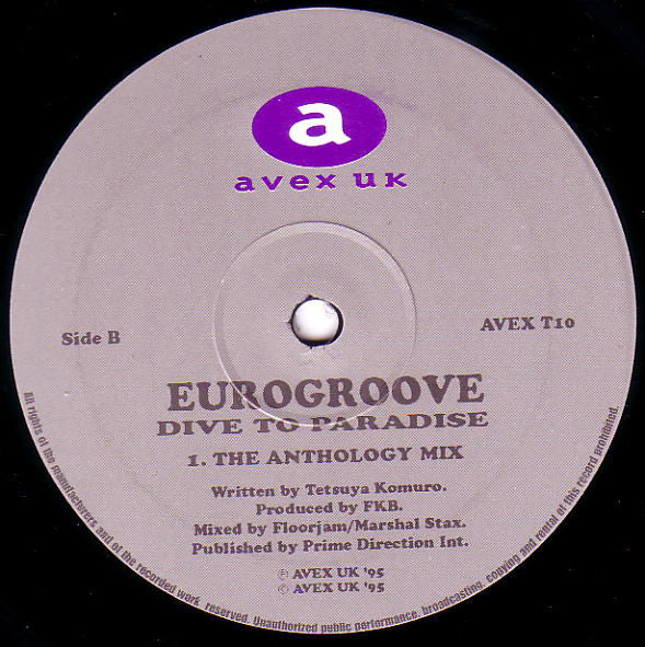 Eurogroove : Dive To Paradise (12")