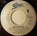 Dead Or Alive : Turn Around And Count 2 Ten (7", Single)