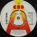 Al Matthews : Fool (7", Single, Promo)