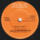 The Blow Monkeys Featuring Sylvia Tella : Slaves No More (7", Single)