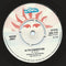 Mungo Jerry : In The Summertime (7", Single)