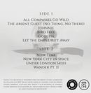 Close Lobsters - Post Neo Anti LP, CD & DL.