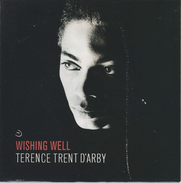 Terence Trent D'Arby : Wishing Well (7", Single)