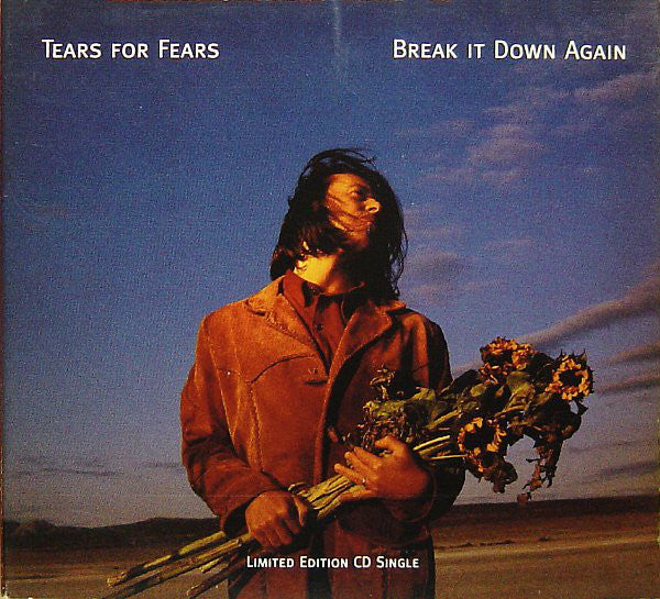 Tears For Fears : Break It Down Again (CD, Single, Ltd, Dig)