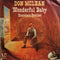 Don McLean : Wonderful Baby / Homeless Brother (7", Single)