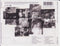 Natalie Imbruglia : White Lilies Island (CD, Album, Copy Prot.)
