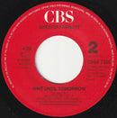 Gregory Abbott : Shake You Down (7", Single)