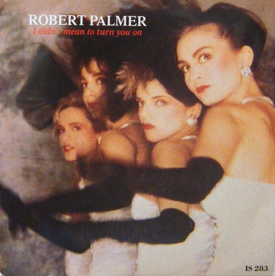 Robert Palmer : I Didn't Mean To Turn You On (7", Single)
