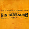 Gin Blossoms : Til I Hear It From You (CD, Single, Dig)