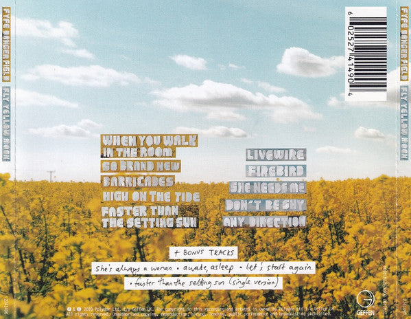 Fyfe Dangerfield : Fly Yellow Moon (CD, Album, RE, Son)