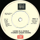 Private Lives : Living In A World (Turned Upside Down) (7", Single)
