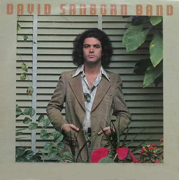 David Sanborn Band : Promise Me The Moon (LP, Album)