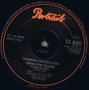 The Flaming Mussolinis : Swallow Glass (Extended Remix) (12", Single)