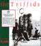 The Triffids : Treeless Plain (CD, Album, RE)