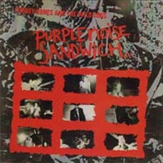 Turkey Bones & The Wild Dogs : Purple Noise Sandwich (12")