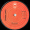 Gheorghe Zamfir : The Light Of Experience (Doina De Jale) (7", Single, RE, Ora)