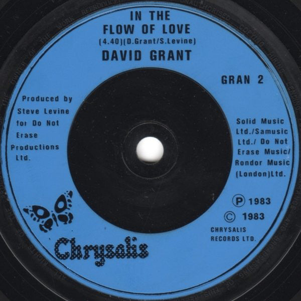 David Grant : Watching You, Watching Me (7", Single)