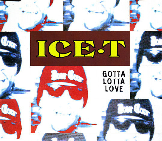 Ice-T : Gotta Lotta Love (CD, Single)