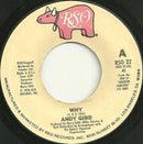 Andy Gibb : Why / One More Look At The Night (7", Single, US )