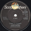 James Brown / Vince DiCola : Living In America / Farewell (7", Single)