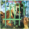 Tygers Of Pan Tang : The Cage (LP, Album)
