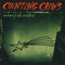 Counting Crows : Recovering The Satellites (CD, Album)