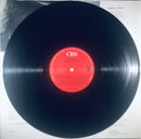 Darden Smith : Trouble No More (LP, Album)