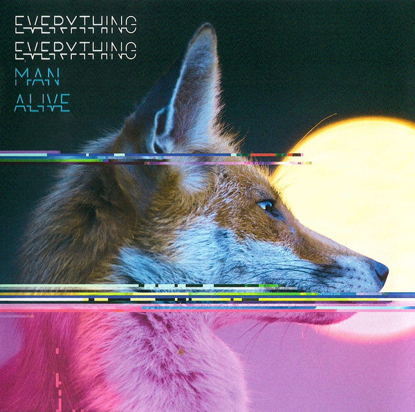 Everything Everything : Man Alive (CD, Album)