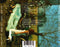 Tori Amos : Caught A Lite Sneeze (CD, Single)
